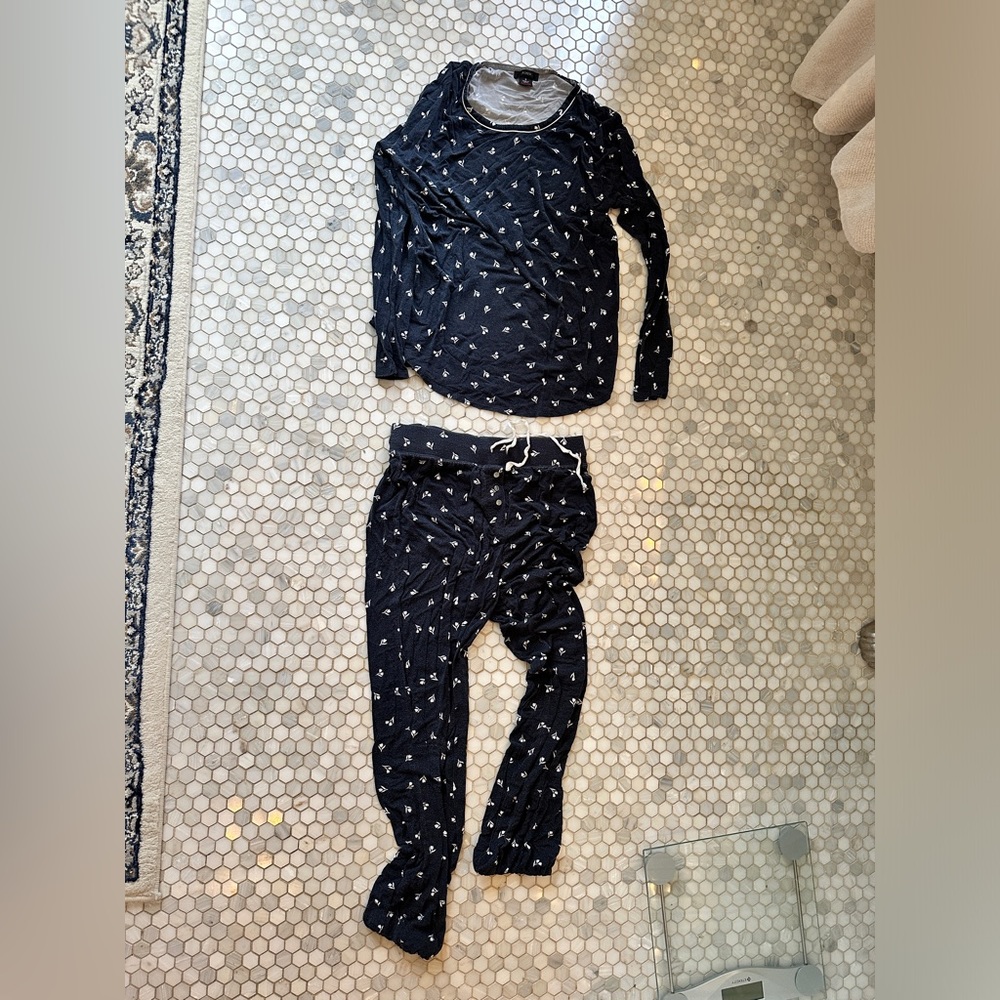 Jcrew blue and white stretch long sleeve pajama set